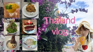 vlog.タイ旅行vlog🇹🇭|バンコク3泊４日食倒れツアー|可愛いカフェ巡り☕️|태국여행 브이로그 🇹🇭| 방콕맛집 카페 투어 💁🏼‍♂️🍀