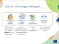 FIT4FOOD2030 Webinar3: Transforming our food systems: R&I as an enabler of the Farm to Fork Strategy