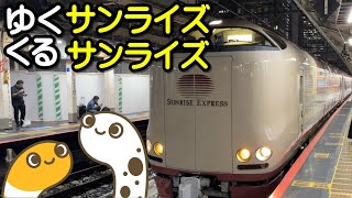 ゆくサンライズくるサンライズ　サンライズ瀬戸・出雲 　お見送り 　東京駅ライブ配信【ちんあなご】東京駅　入線　21:25　出発　21:50