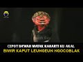 Bodoran Si Cepot Asep Sunandar Full Video