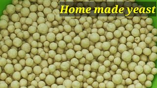 Zero cost home made yeast/செலவில்லாத ஈஸ்ட் ஈசியா செய்யலாம்/easy method Yeast/Home made yeast