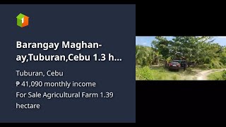 Barangay Maghan-ay,Tuburan,Cebu 1.3 has near Colonia Elementary School