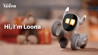 A Kickstarter Project We Love: Meet Loona - The Most Intelligent Petbot
