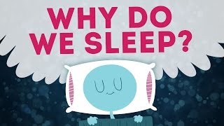Science Can't Explain Why We Sleep
