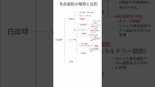 1分でわかる：免疫細胞の種類と役割 #勉強 #看護実習 #看護師試験 #実習生