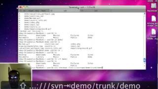 svn basics tutorial (create project basic, commit ,update and resolve conflict)