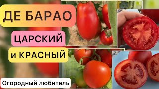 ДЕ БАРАО ЦАРСКИЙ и КРАСНЫЙ // обзор томатов // высылаю семена