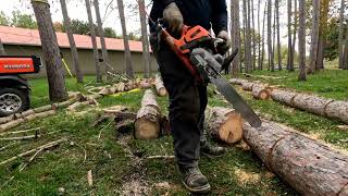 Abattage d'arbres près de bâtiments (c'est serré !!!)1/2