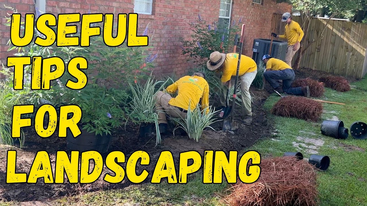 Landscaping Tips For Beginners Youtube
