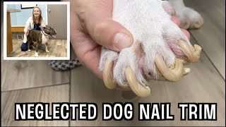 NEGLECTED DOG NAIL TRIMMING | Very satisfying paw pad trim down!