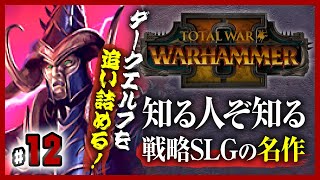 【戦略SLGの名作】種族入り乱れの覇権争い!!ストラテジー好きにはたまらないゲーム!! #12【Total War : Warhammer II】