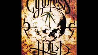 CYPRESS HILL - THE LAST ASSASSIN