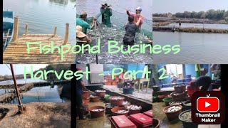 Tignan po natin papaano e-Harvest ni kuya Ronald ang Fishpond Business sa Pilipinas. Part 2