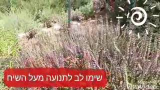 יחסי גומלין בין יצורים חיים - שיעור מתוקשב