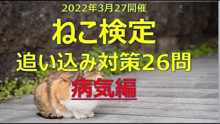 【ねこ検定】追い込み対策【病気編26問】