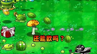 【植物大戰僵尸】只種前五個隨機植物盒子，還能歐嗎？