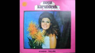 Neşe Karaböcek - Adını Anmayacağım