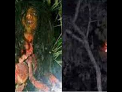 78+ Hantu Banyu Di Ampera Gratis Terbaik