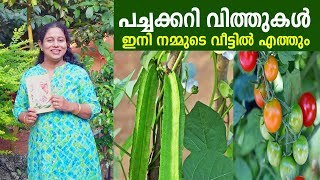 പച്ചക്കറി വിത്തുകൾ ഇനി വളരെ എളുപ്പത്തിൽ വാങ്ങാം Buy Vegetable Seeds Online Mahaagrin