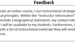 Peer Review Process Module 3: Feedback Without Clarity