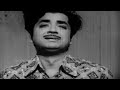 prem nazir romantic old superhit malayalam song l pravaham movie vidhubala adoor bhasi