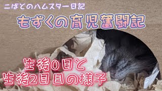 【もずくママ】育児奮闘記/生後０日と3日目の様子💖