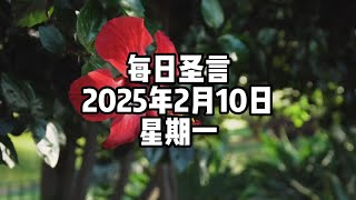 【每日聖言】2025年2月10日 星期一