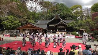 【4K】湊や　秦野元気祭り春の陣1日目　定点演舞1回目