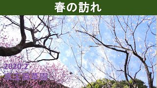 春の訪れ「京王百草園」2020