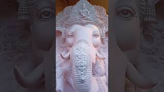 Hyderabad Dhoolpet Ganesh 2022 | Dhoolpet Ganesh Idols 2022 #shorts #dhoolpetofficial