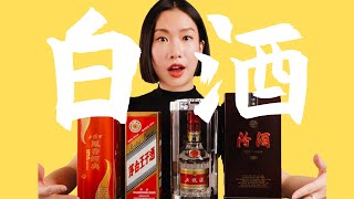 Traditional Chinese BAIJIU Review 白酒入门香型测评