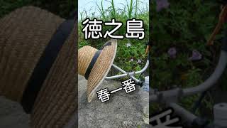 【徳之島】赤土馬鈴薯　春一番/買い取り価格は？