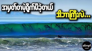 လူတစ်ယောက် အမှတ်မထင်ရိုက်မိလိုက်တဲ့ ဒီပုံက တစ်ကမ္ဘာလုံးကို ထိပ်လန့်သွားစေခဲ့တယ်