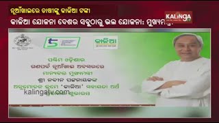 Nuakhai Gift From Odisha CM: Farmers Received Kalia Financial Assistance || KalingaTV