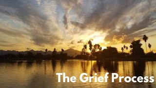 Pet Loss Series | The Grief Process