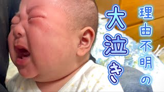 【突然の大泣き！あまりに泣くので病院に😅】2歳＆0歳5ヶ月 Japanese baby