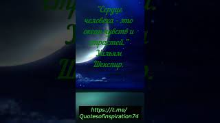 Как найти цитату?  Уильям Шекспир.  #афоризмы #лучшие #цитаты  Нужно посмотреть этот канал.