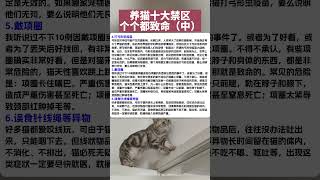 养猫十大禁区，爱猫人士必看哦！# #猫 #萌宠 #萌宠出道计划 #宠物 #cat #pets #cute #养猫 #猫咪