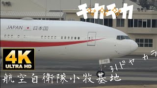 政府専用機から✨チカチカ✨#b777#政府専用機 #航空自衛隊