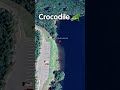 A Random Crocodile Found On Google Earth 🐊 #shorts