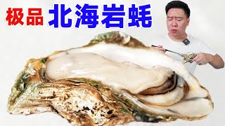 🈴试吃生蚝：极品生蚝，铁山港北海岩蚝，巨大生蚝，鲜甜饱满根本停不下来！#小文哥吃吃吃 #海鲜 #生蚝