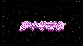 夢中等著你 特效karaoke 去人聲