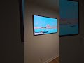 art or tv tvwallmount homedecor homeentertainment tv home hisense tvdisplay framedtv