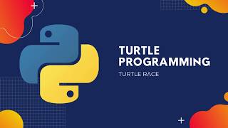 Turtle Race