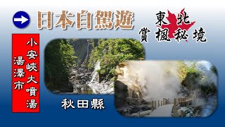 日本自駕遊/小安峽大噴湯/98℃溫泉的蒸氣猛烈噴出/秋田三十景/東北自駕趴趴走