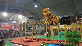 2024 South Thailand - Acrobatic - 中国福建闽南龙狮体育会 Fu Jian Min Nan