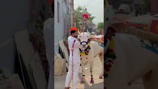 श्री संभाजी (तात्या) भिसे सासवड पुरंदर सुरक्षित घराचा साज नाद खिल्लार 🚩🚩