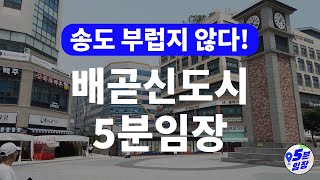 배곧신도시 임장 🏬 배곧엔 미래가 없다구요? ㅣ 송도와 같이 발맞춰 갑니다! 월판선 월곶배곧트램 배곧대교 서울대병원시흥캠 신안산선 등 호재도 갖췄습니다