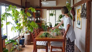 Delicious Tacos Lunch to Enjoy the Late Summer Heat | Care for Houseplants | vlog |  Old House