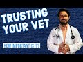 Trusting Your Veterinarian